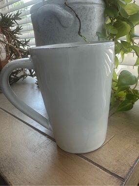 Crate & Barrel Chunky Handled Antiqued Mug